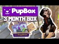 FIRST PUPBOX UNBOXING | 3 MONTH BOX | JUNE 2021