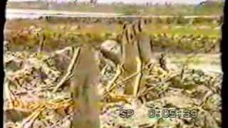 'Bangladesh Cyclone' DEC Appeal, Martyn Lewis, ITV 1998