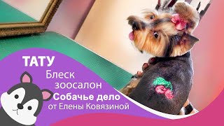 Временая татуировка для собаки. Йоркширский терьер Временая татуировка для собаки. Йоркширский терьер
