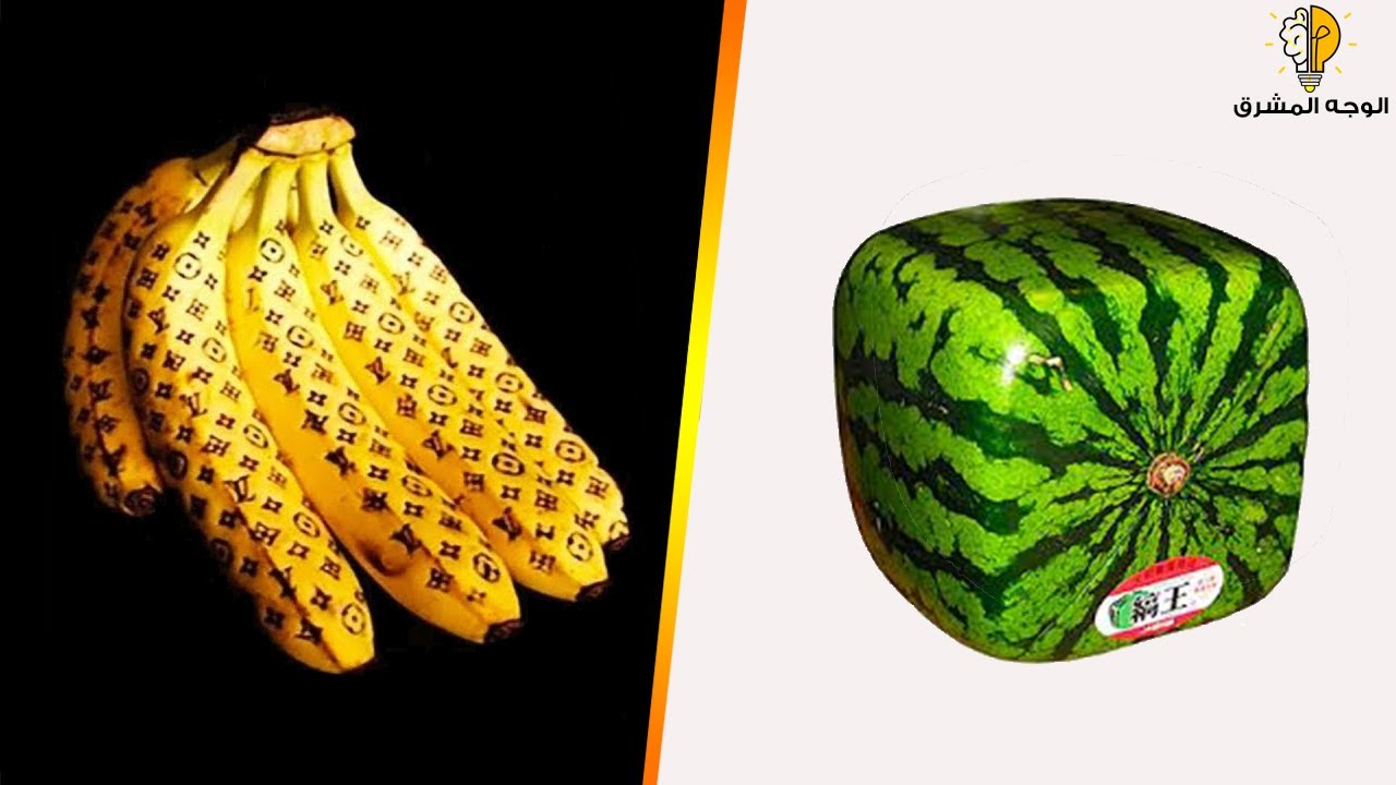 أغلى 10 أنواع فاكهة في العالم لا يأكلها الا الاثرياء Youtube