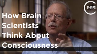 Eran Zaidel  How Brain Scientists Think about Consciousness