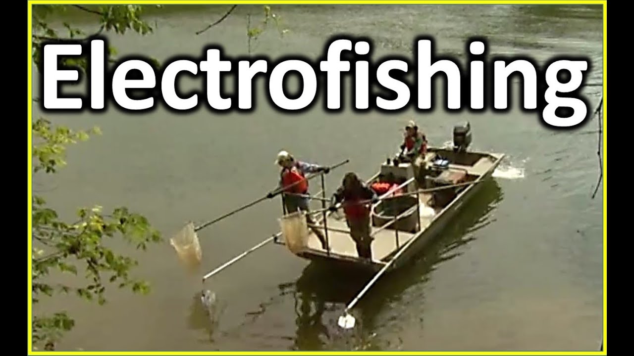 Electrofishing Boat