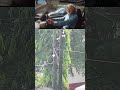Власть принадлежит народу, только народ не в курсе. TopGear