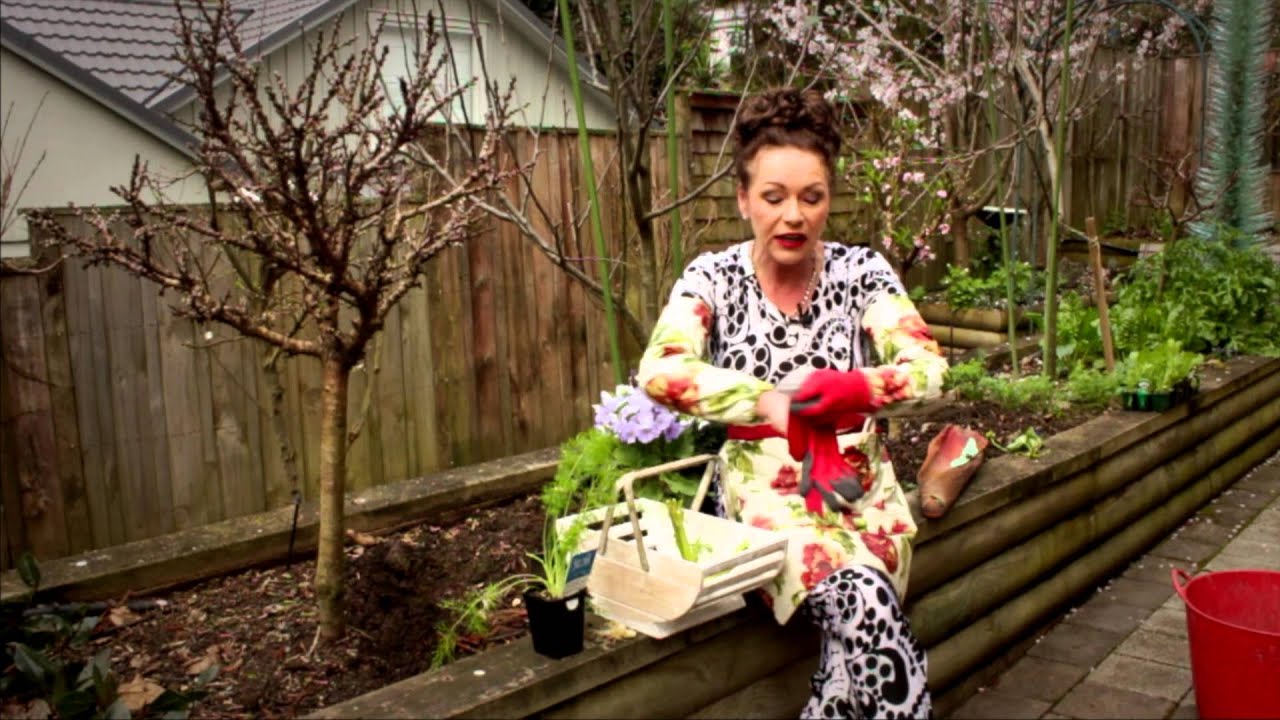 Gardening Tutorial: Vegetables - How to Grow Fennel 