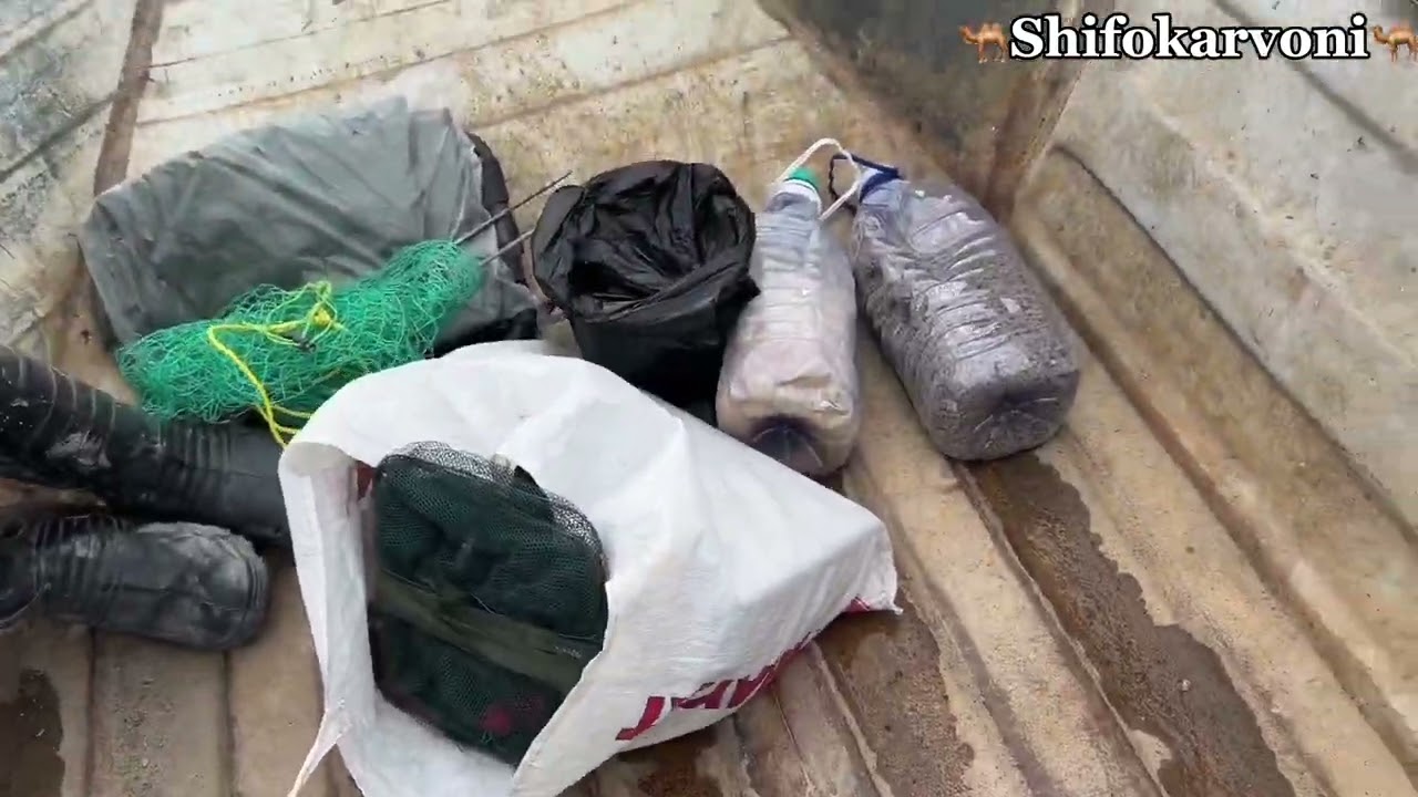 Bu baliq lotkani tortib ketmoqda😱 katta baliqlar bor bu joyda🐬