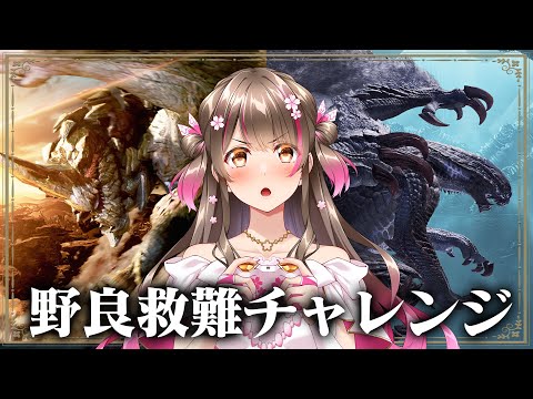今なお超きついと話題の★9野良救難へ！アプデ後３週間経った今、難易度はどうなっているのか？【モンハンワイルズ】