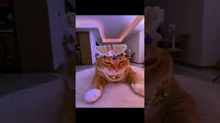 Towa X Sxcredmane  Stick Em Up memes shorts