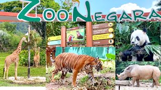 Zoo Negara Kuala Lumpur Malaysia | National Zoo of Malaysia | Must Visit Places in KL, Malaysia