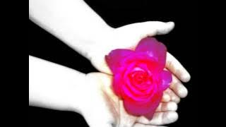 Ten Sharp - Feel my love