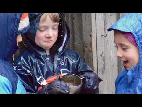 Meadowbrook Waldorf School Early Childhood Program