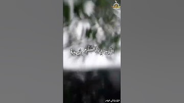 تلاوة للقارئ فهد العامر