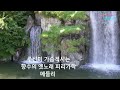 주선미 가슴적시는 향수의 옛노래 피리가락 메들리 영상편집 미디어주노 성남지사 가요트롯tv 홍재종 감독 구독 좋아 주선미 가슴적시는 향수의 옛노래 피리가락 메들리 영상편집 미디어주노 성남지사 가요트롯tv 홍재종 감독 구독 좋아