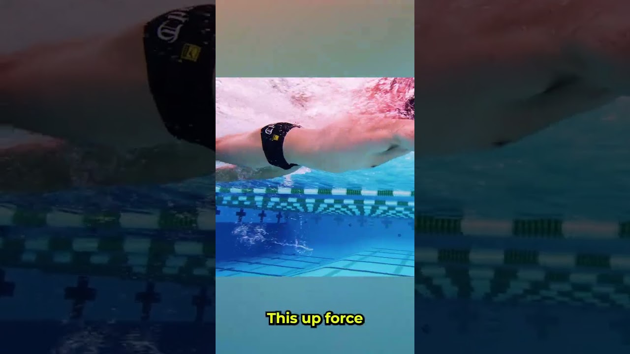 Newton's Third Law and Your Swim Stroke