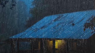 Soft Rain Sound for Insomnia on Rainy Night, Rain ASMR to Help You Fall Asleep in Under 3 Minutes