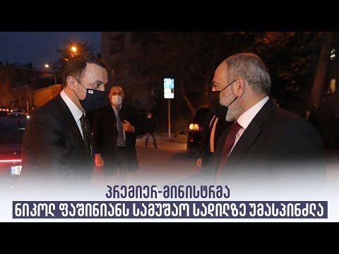 პრემიერ-მინისტრმა ნიკოლ ფაშინიანს სამუშაო სადილზე უმასპინძლა