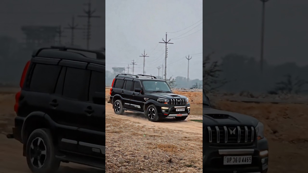 BLACK HORSE 🐎 ♠️ 