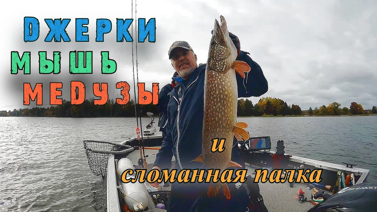 Джерки Мышь Медузы и сломанная палка