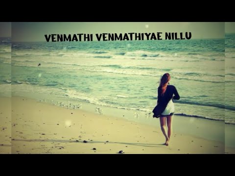 Venmathi Venmathiye Song  Lyrics  Minnale  Tamil Lyrics song female version  Nalini vittobane