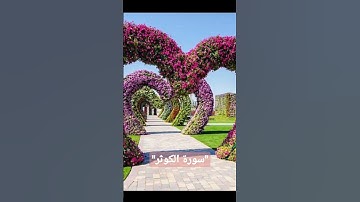 سورة الكوثر