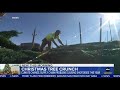 ABC: “Labor Shortages and Trucking Costs” Leading To Christmas Tree Shortage