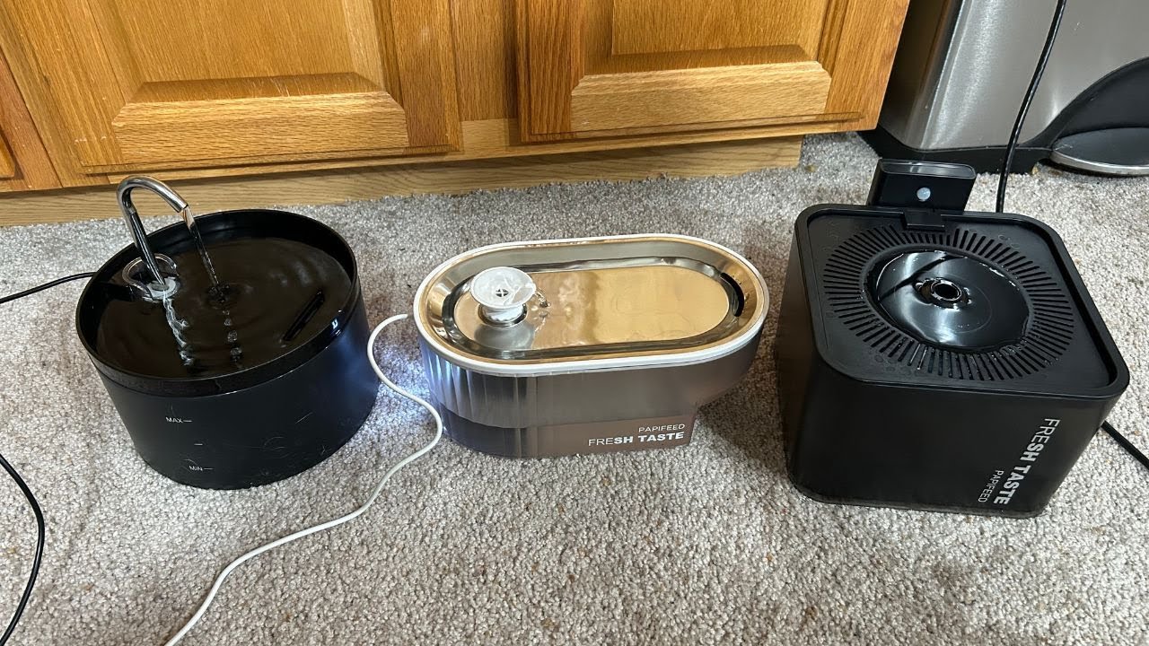 Papifeed 2.5L Vs Giotohun Vs Papifeed 3L Cat Water Fountains. Which One Wins?