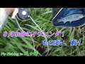 8月中旬のイブニング!藪がスゴ過ぎた!Mid-August evening fishing! The bush is amazing!– 2022.8.16 in八ヶ岳:ev30