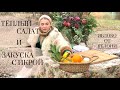 Тёплый салат с куриной печенью и закуска из щучьей икры // Warm salad and pike caviar appetizer