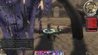 Guild Wars 1 Guild Halls & Visiting