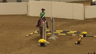 191018 Level 1 Youth Trail 14 18 Split Justine Gregg on Lopin by my Dreams