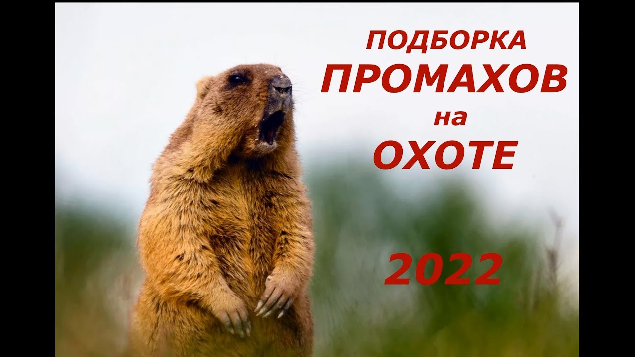 7 промах чери