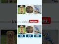 What are Labels in Machine Learning?