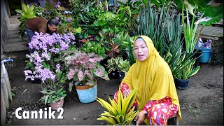 Download Lagu SPIL Tanhis Stok Baru jan Josh2 Cantik2 MP3