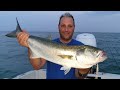 Pesca in mare dalla barca alla ricerca del pesce serra a spinning popper