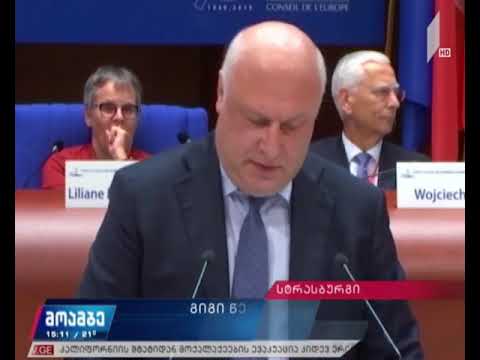 გიგი წერეთელი სტრასბურგში კონფერენციაზე სიტყვით გამოვიდა