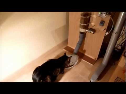Internet Enabled Cat Feeder powered by Arduino