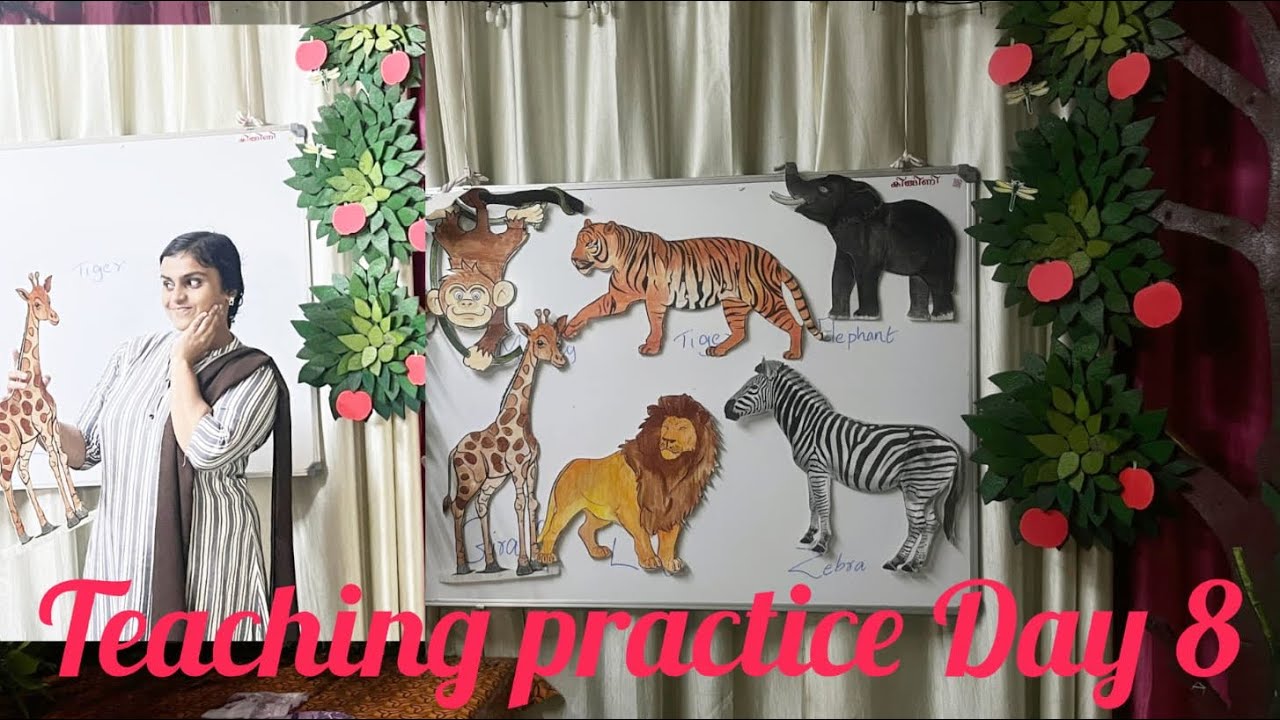 Практикум по методике Монтессори, День 8: Исследовательский подход к изучению диких животных #evs...