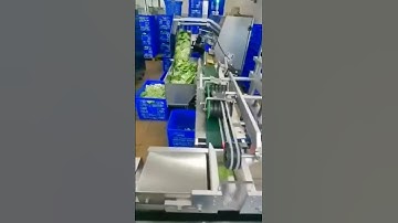 Granule bag pouch sachet sorting tank feeding machine bag sorting feeder