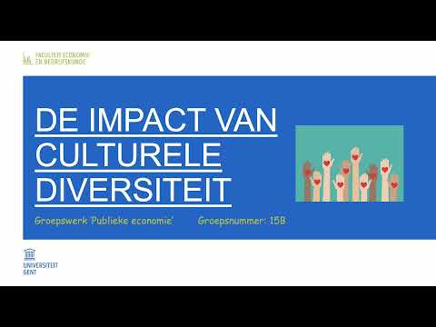 DE IMPACT VAN CULTURELE DIVERSITEIT