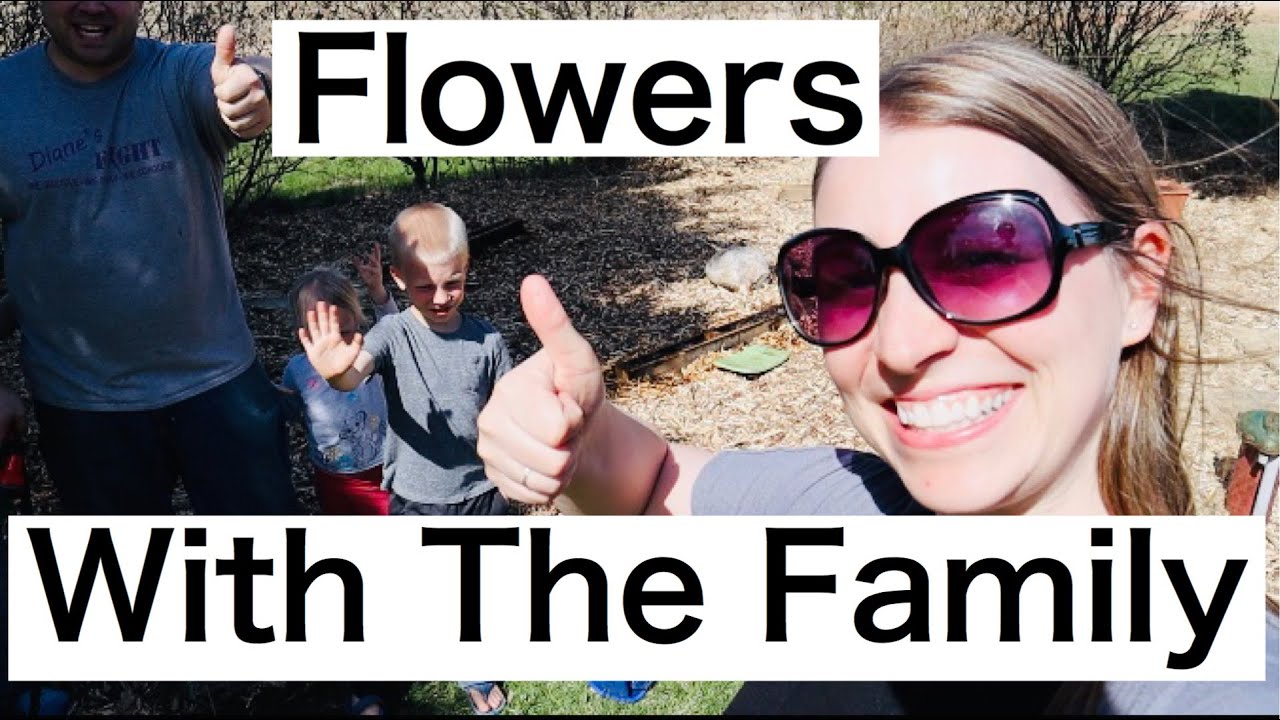 ZONE 4 PLANTING FLOWERS