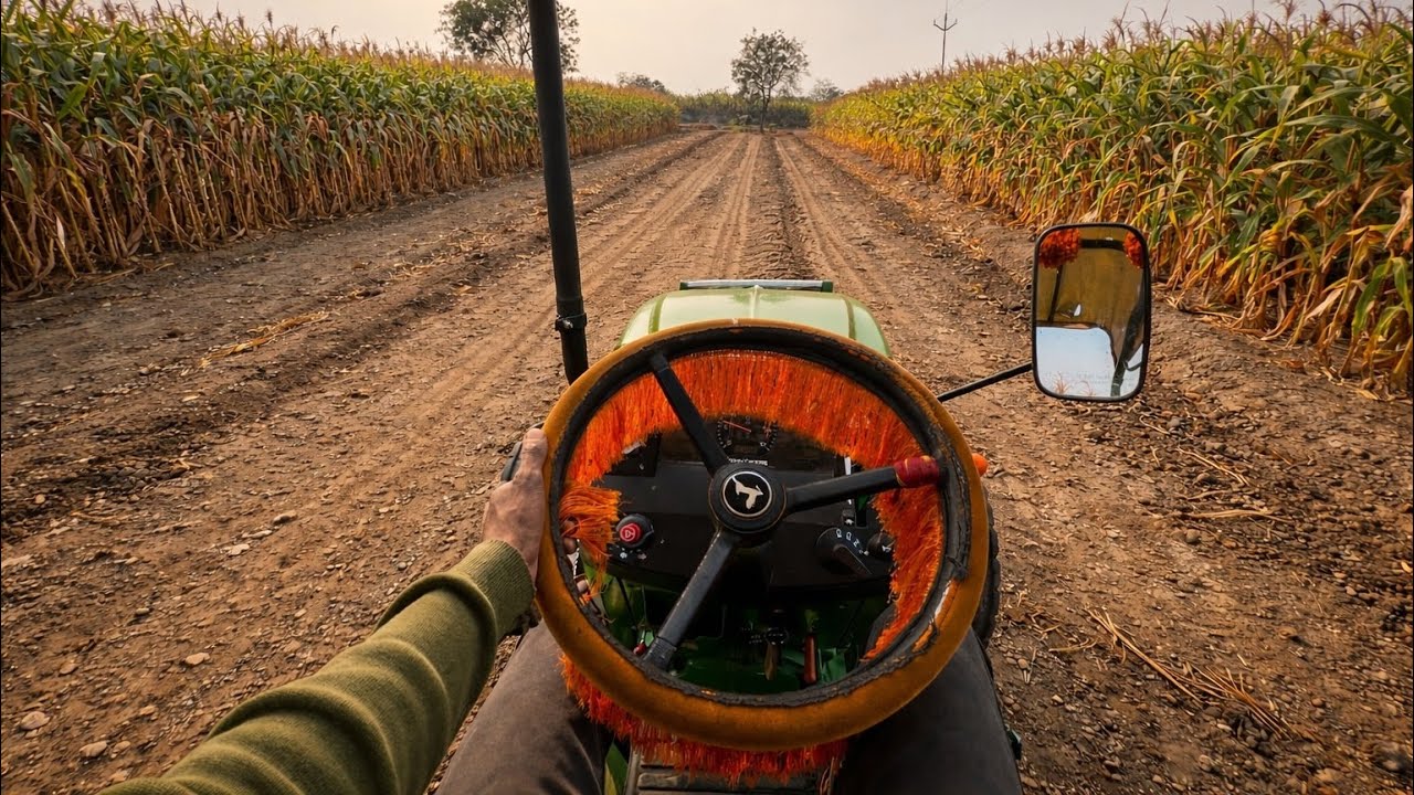 John Deere Tractor Hauling Fresh Corn | Powerful Farm Transport 4K