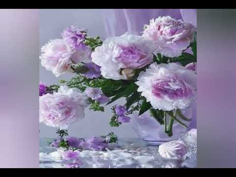 قصيدة المساء للشاعر خليل مطران في برنامج قراءات شعرية مع الإعلامية أميرة سعيد البرعي