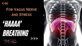 Haaaa Breathing For Vagus Nerve And Stress