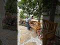 From Wild Grass to Dream Garden in One Transformation!