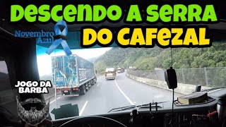 Descendo o Cafezal com a Câmera na Cabeça | Recadinho aos Inscritos