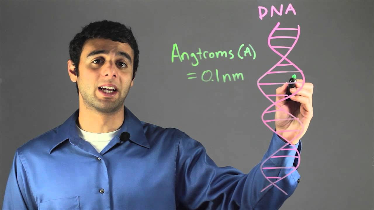 Size of the DNA Helix : Biology & DNA