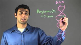 Size of the DNA Helix : Biology & DNA