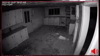 Famous Door Opens and Slams Shut Inside Homestead 2 Profile