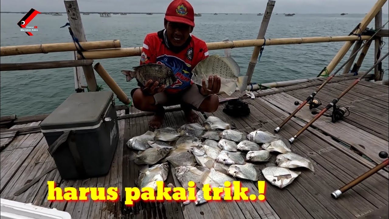 Cara cepat mancing ikan tapi tapi