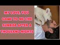 My Love, You Came to Me Like Sunrise........... || Hamdan Prince of Dxb || Fazza Poems