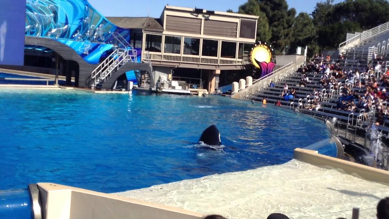One Ocean SeaWorld San Diego